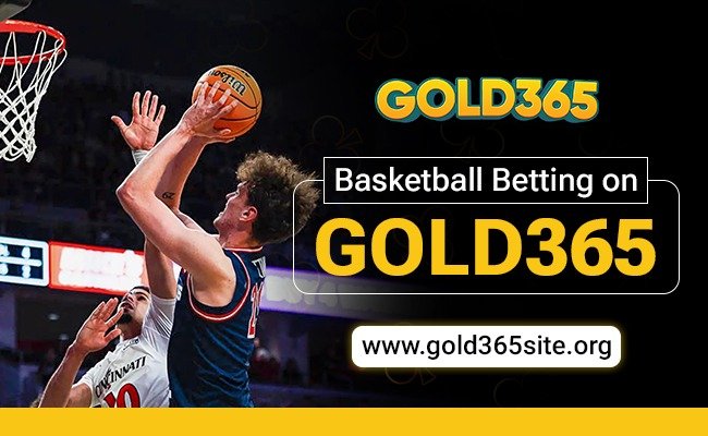 Basketball Betting on Gold365